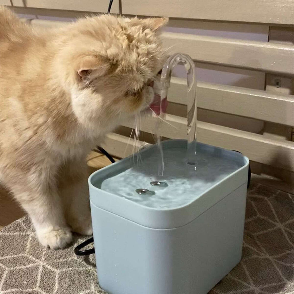 Pet water fountain, ultra-quiet USB electric dispenser with 3 water flow speeds, 1.5L capacity, green color