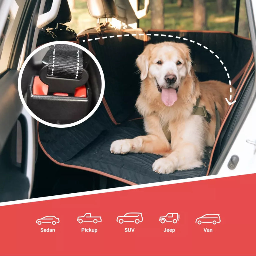 Elastic seat belt for cats and dogs