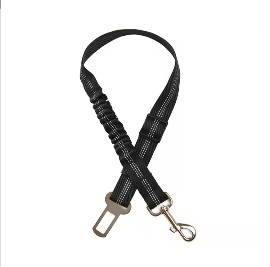 Elastic seat belt for cats and dogs