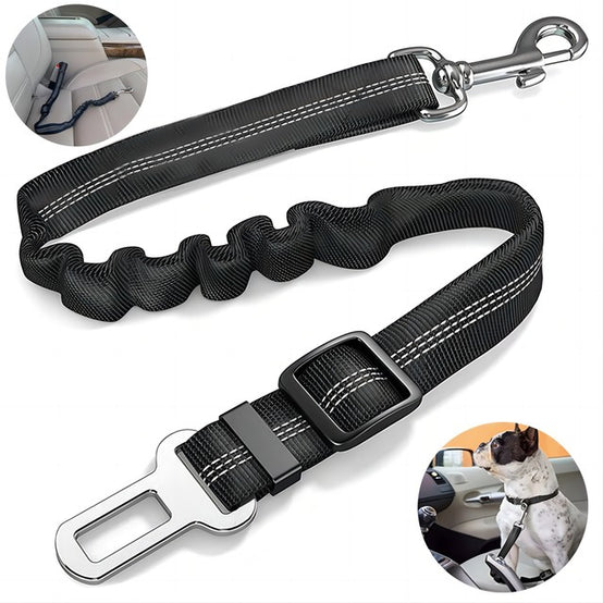 Elastic seat belt for cats and dogs