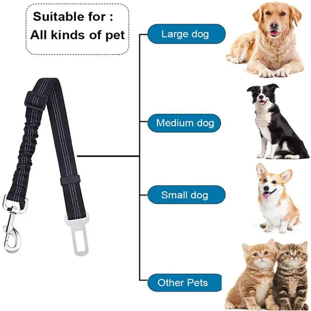 Elastic seat belt for cats and dogs