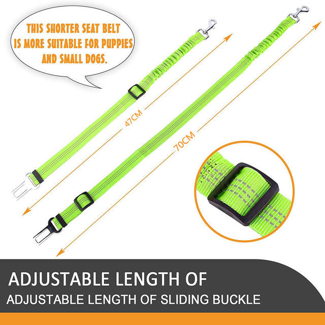 Elastic seat belt for cats and dogs