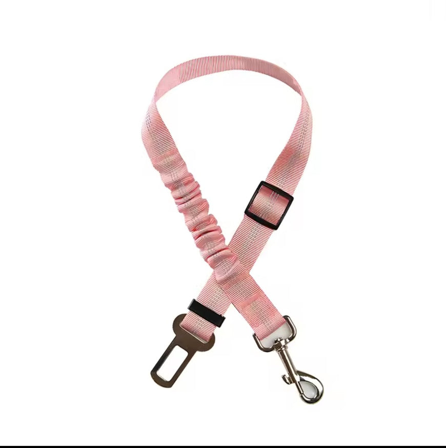 Elastic seat belt for cats and dogs