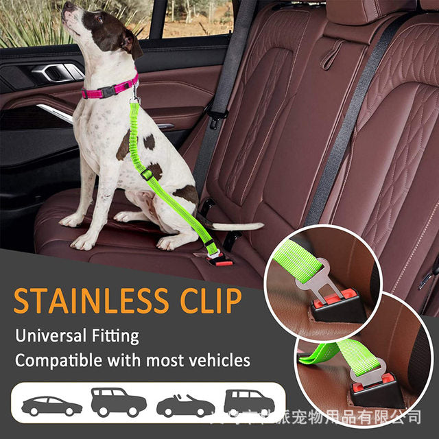 Elastic seat belt for cats and dogs 